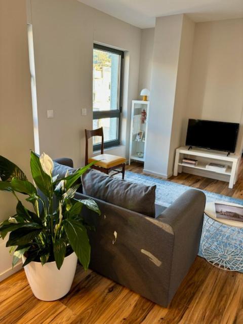 Three Little Birds Apartment Guimaraes Exterior photo
